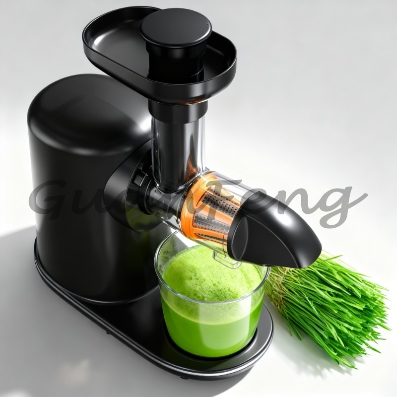 Cold Press Juicer - Kaltpress-Entsafter, elektrischer Entsafter, leiser, leicht zu