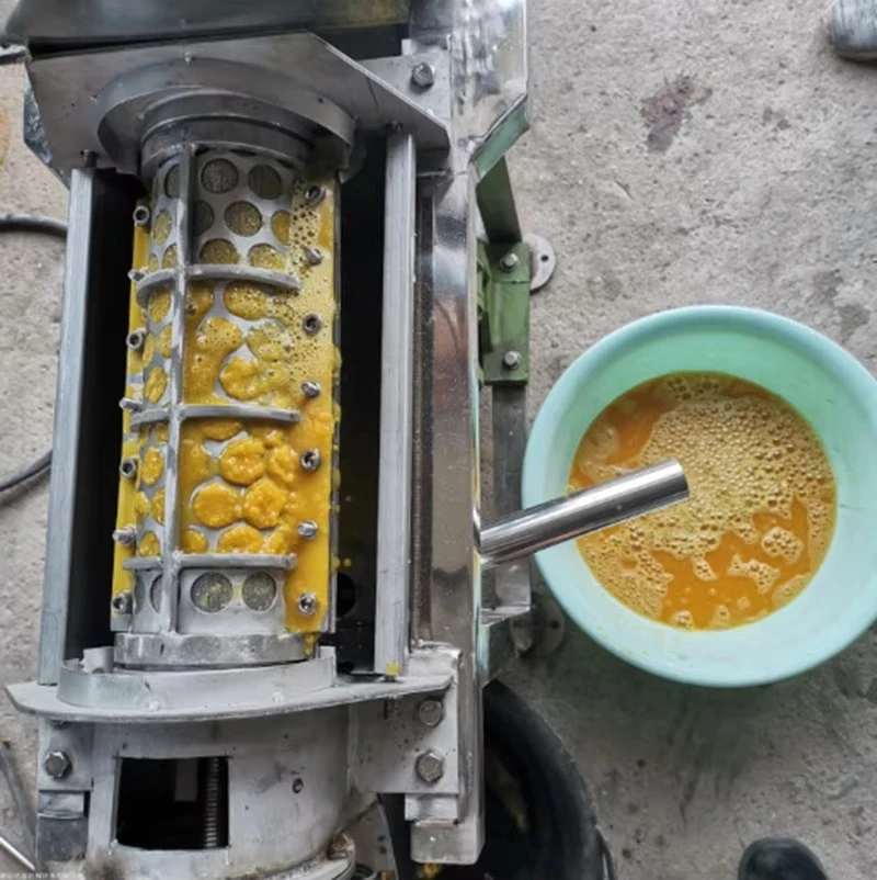 Kommerzielle Entsafter-Maschin – Cold Press Juicer Bewertung und Preis