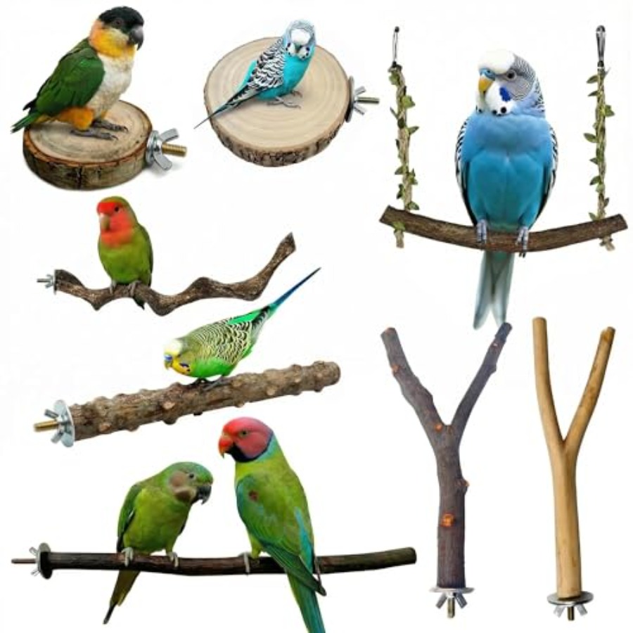 8 Stück Vogelsitzstangen aus N – Health & Wellness Fairs Bewertung und Preis