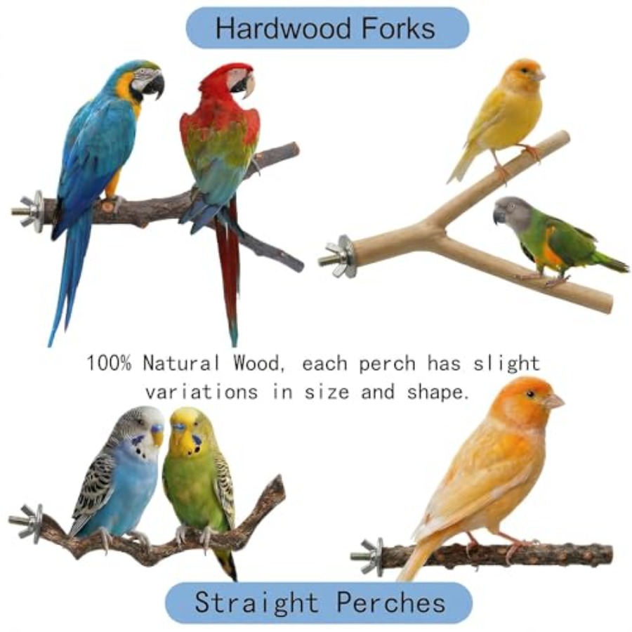 8 Stück Vogelsitzstangen aus N – Health & Wellness Fairs Bewertung und Preis