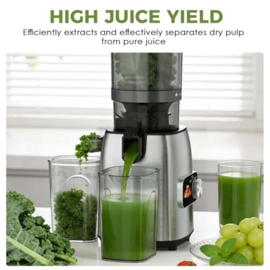 Kaltpress-Entsafter für den Kü – Cold Press Juicer Bewertung und Preis