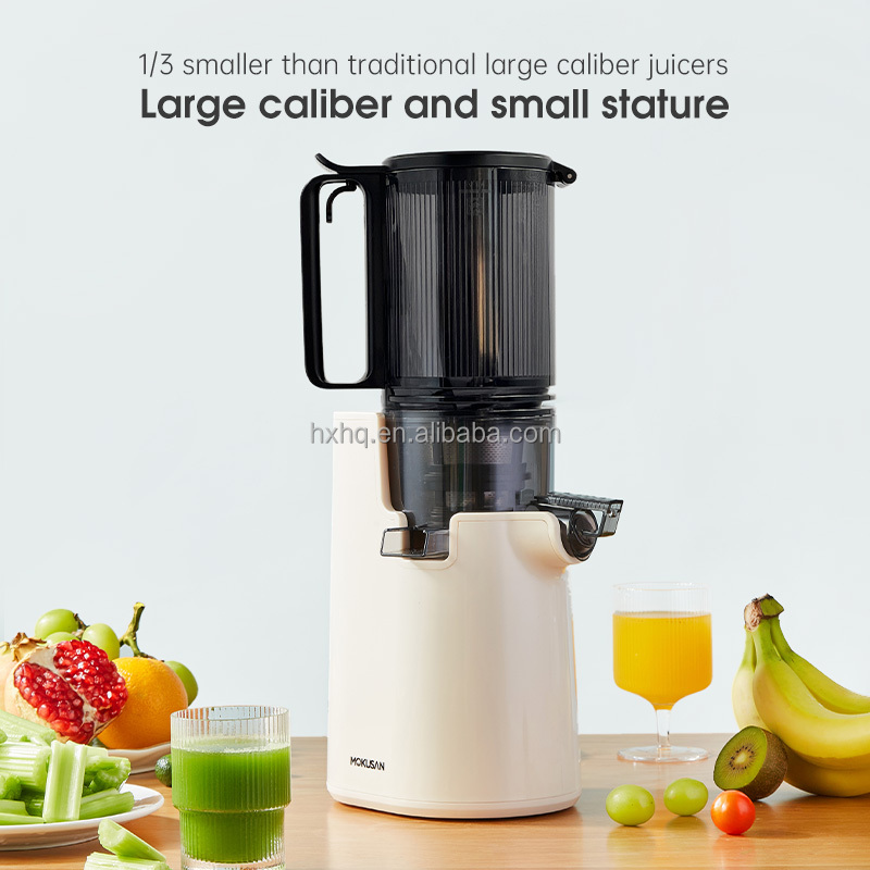 Heißer Verkauf Big Mouth Kaltp – Cold Press Juicer Bewertung und Preis