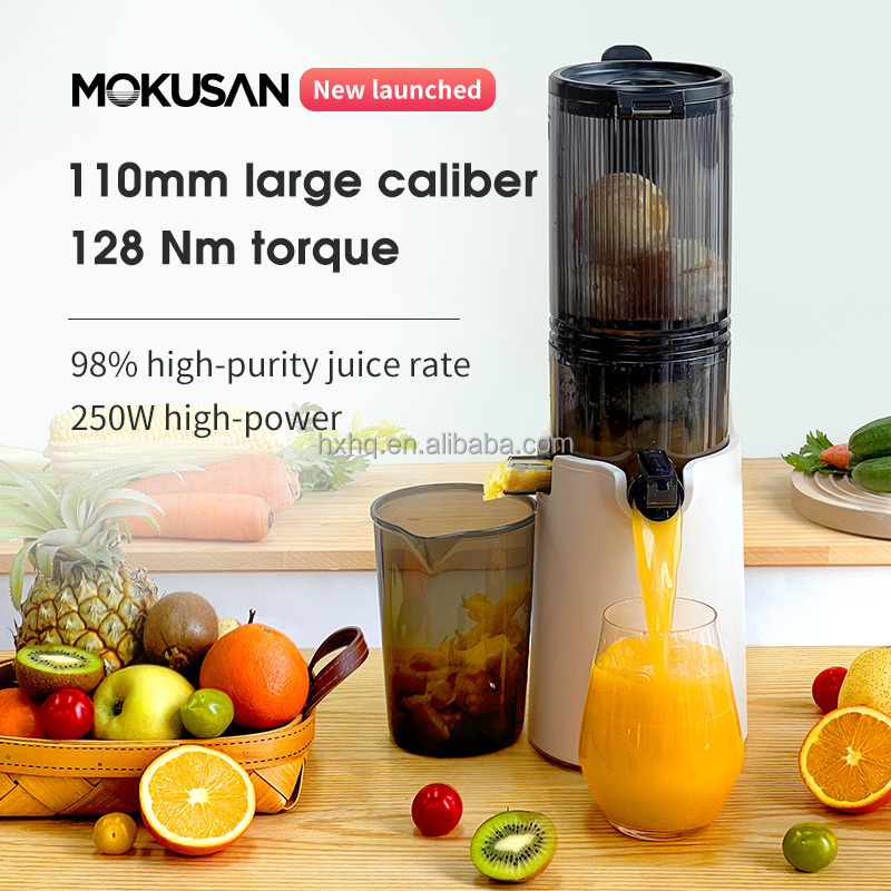 Heißer Verkauf Big Mouth Kaltp – Cold Press Juicer Bewertung und Preis
